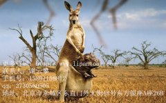 澳大利亞旅游簽證準備材料清單大全