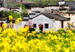 國(guó)內(nèi)十個(gè)最適合帶父母旅行的最佳目的地