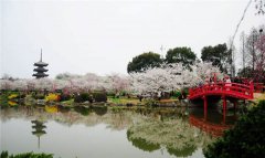 三四月不去這些地方，就辜負(fù)春天了！